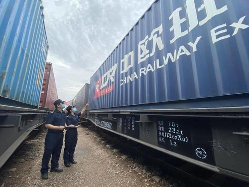 國際海關(guān)日 守護國門，全力以赴保障供應鏈穩(wěn)定高效